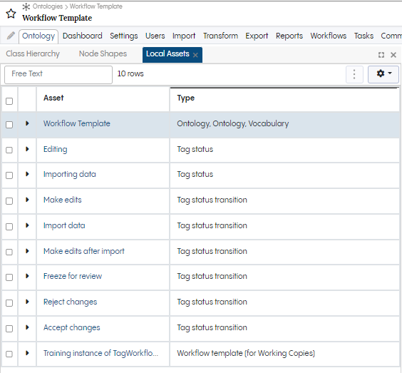 Workflow template with local assets